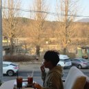 광릉내 애견 이미지