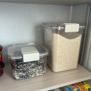 클리어하우스 | 쌀벌레 안녕! 모던하우스 클리어 쌀통 5kg / 10kg 내돈내산 후기