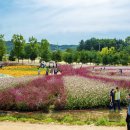 오창전통시장 이미지