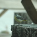 자연사랑펜션 이미지