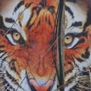 경기둘레길 포천15코스 이미지