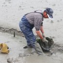 옥도 발전소 이미지