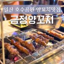 일산호수카-서비스 | 일산 호수공원 맛집 금정양꼬치양갈비 일산호수공원점, 잡내 없는 신선한 양꼬치 솔직후기