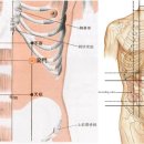 양문한의원 이미지