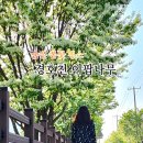 경호천 | 구미인근 칠곡 북삼 경호천 이팝나무길