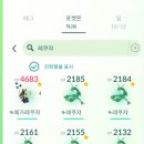 원시생활체육관 | 2025년 10월 포켓몬고 메가 레쿠챠 레이드 후기 &amp; 졸업스킬 공략 &amp; 이로치 모습 &amp; 진화 조건