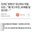 [단독] '완판녀' 유난희도 막말 논란..."故 개그우먼, XX제품 알았다면…" 이미지