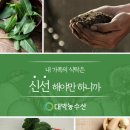 내외로마트 | 2026 제주 햇 브로콜리 출하 시작!★ 마트보다 3배 싱싱한 산지직송 후기