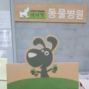 에버펫 동물병원 이미지