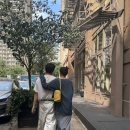 케빈 카카오 검색결과