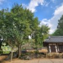 나무이야기 이미지