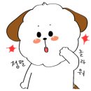 요니간식