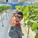 신선딸기농원