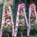 콜노래팡팡 Daum카페