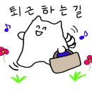 모터시티바이매니멀