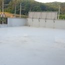 댕댕댕 애견유치원 이미지