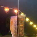 2026 울산 태화 가람대축제 후기 주차 꿀팁