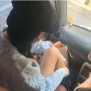 [wishlist] 모데스트무드 winter시즌 신상 위시리스트