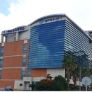 제주처럼 이미지