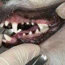 창생동물병원 이미지