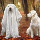 교훈농장 이미지