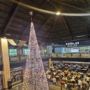 KING CAR | 대만 여행 필수 코스 카발란 증류소, 위스키 성지 순례 솔직 후기