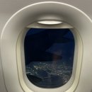 우진농장 | 🏝️ 제주도 여행 1일차 북쪽 동쪽 코스 :: 우진해장국, 귤 따기, 오션뷰카페, 고기국수, 말 밥 주기 체험...