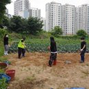몽실 - 창원시 마산회원구 합성옛길 97 | 몽실