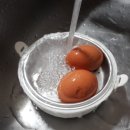 꼬꼬계란 이미지