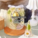 공방;팔월 | 익산부케말리기 부케기프트 마이로에 공방에 맡긴 내돈내산 후기