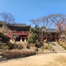 인천 강화도 국가문화유산 아이와 가볼만한곳 천년고찰 전등사