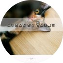 전주남문토종순대 수영점 이미지