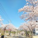 남해-남해-남면-비-1 이미지