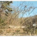 한글비석로(남측) 이미지