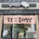 몰래멍냥 | [20240526] 전남 목포 몰래멍냥 :: 용해동 반려동물 애견 수제간식 전문 호불호없는 찐맛집