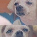 인덕소바 이미지