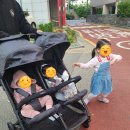 삼천리열처리㈜ | 쌍둥이유모차 :: 잉글레시나 뉴 트윈 스케치 내돈내산