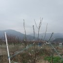 청솔농장 이미지