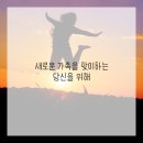 빛나는 강아지 이미지