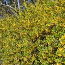 괴산농협남산지소 이미지