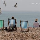 이레스테이 - 정읍시 용산호반길 26-4 | 이레스테이