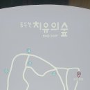 모두가자연이네
