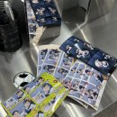 영천로 | 아기 강아지와 함께 방문한 장성 애견동반 사진관 ‘포토시그니처 장성점’ 솔직 찐 후기