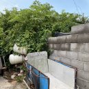 대권민박 이미지