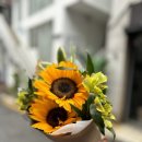 월계구민체육센터 | 월계구민체육센터 아침수영 후기 수영일지 시작!