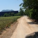 작천면사무소 이미지