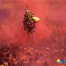 홀리허브 이미지