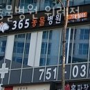 365동물병원위례점 | 365동물병원 위례점 진료시간 접근성 이용후기