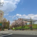 보인고등학교 정문 이미지