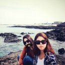 호호게스트 이미지